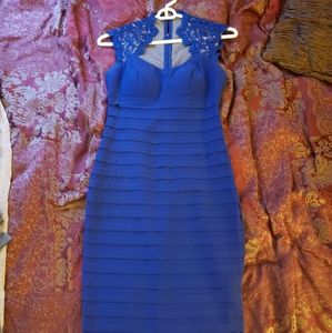 Royal blue lace fitted Cache dress